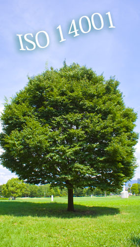 LFɂăTCNۂ̏ڍׂɂ